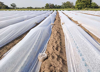 Agriculture and horticulture