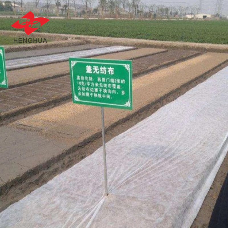 Henghua 18gsm-35gsm PP Spunbond Nonwoven Fabric Used For Agricultural Purposes