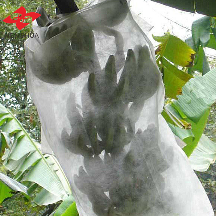 PP Spunbond Nonwoven Fabric for Agriculture | UV-Resistant Plant Cover & Crop Protection Fabric